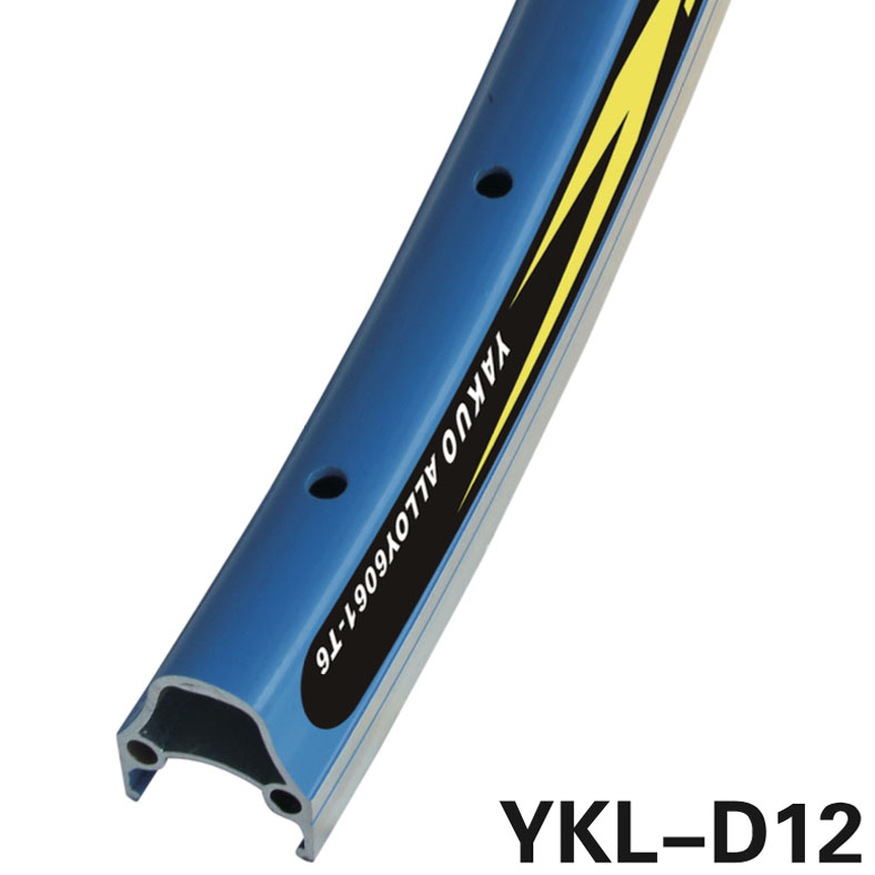 YKL-D12