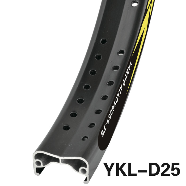 YKL-D25